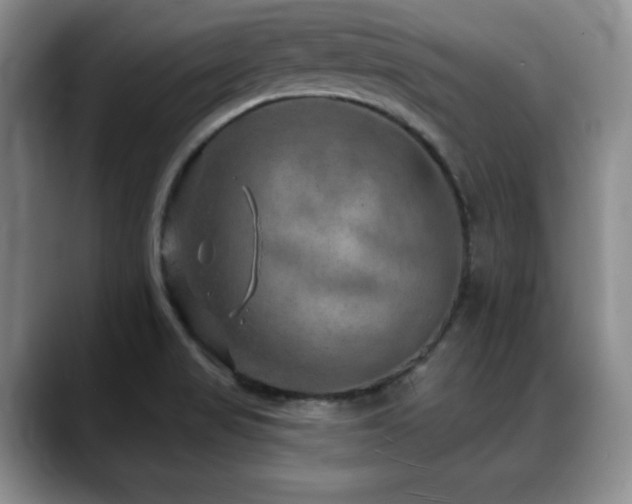 X0000088851517200706081125