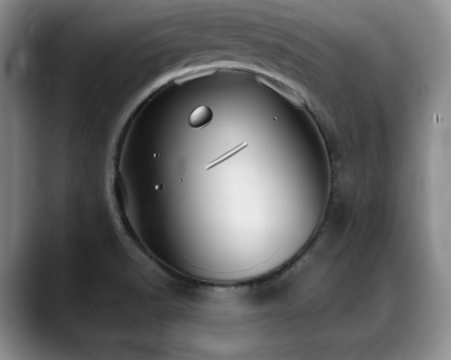 X0000088851518200706081125