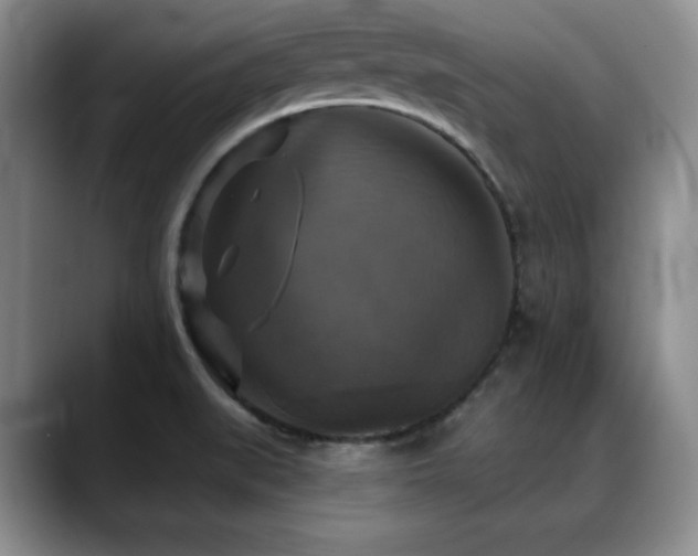 X0000088851519200706081125