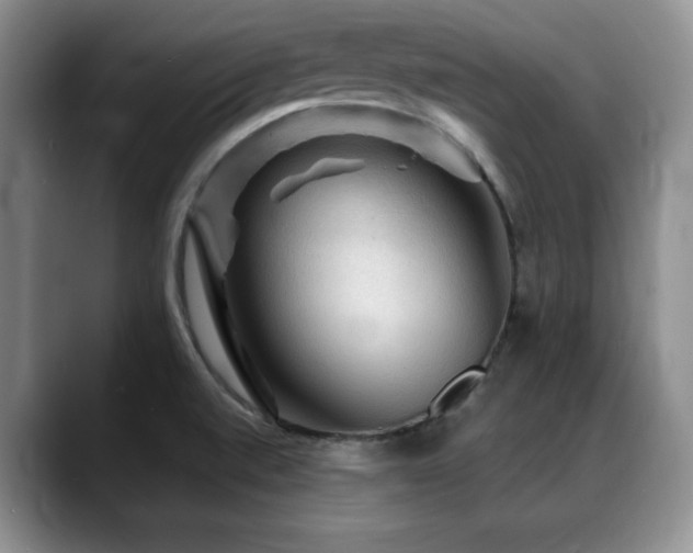 X0000088851520200706081125