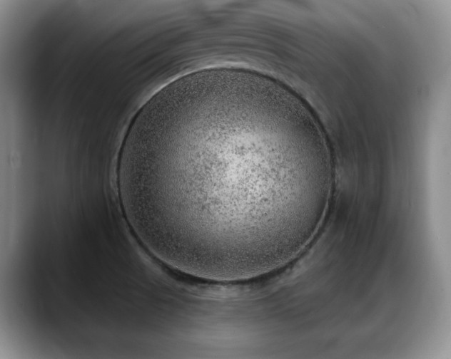 X0000088851521200706081125