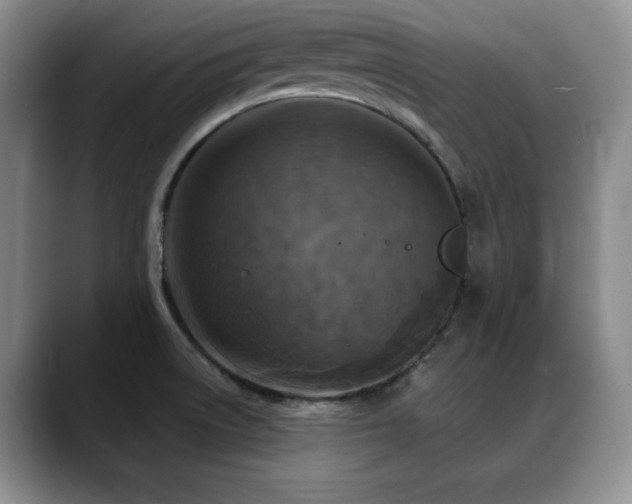 X0000088851522200706081125