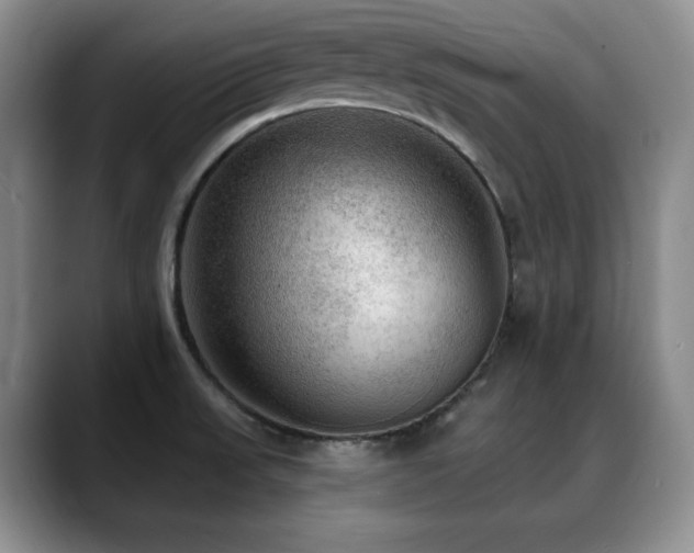 X0000088851523200706081125
