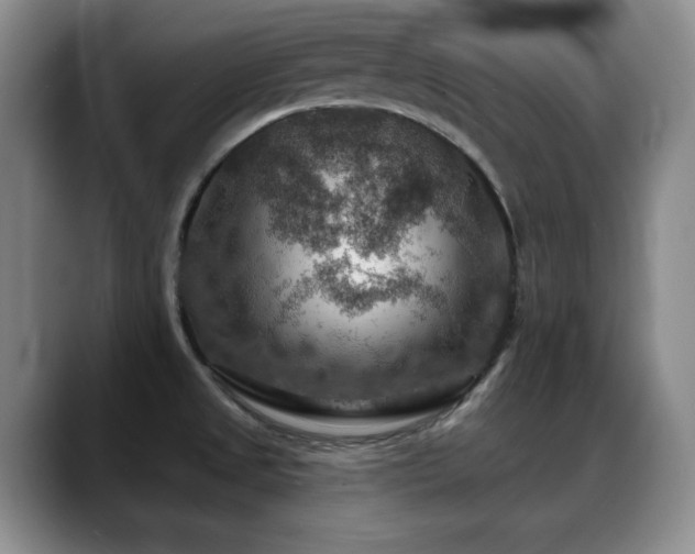 X0000088851525200706081125
