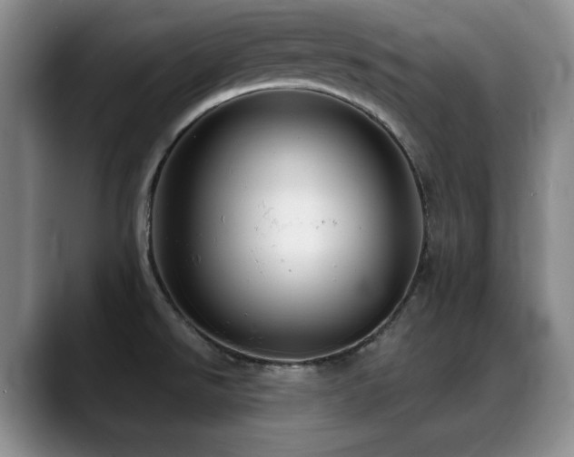 X0000088851526200706081125