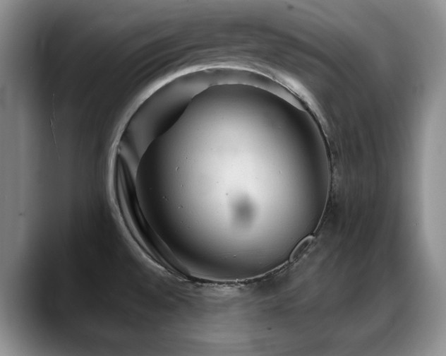 X0000088851528200706081125