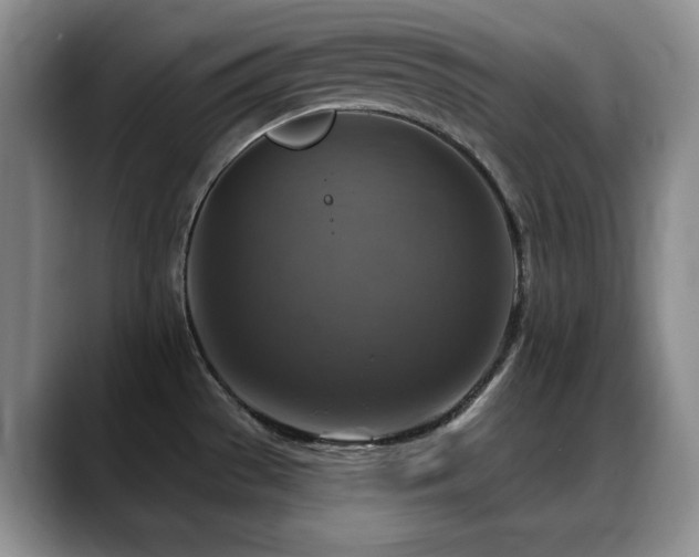 X0000088851529200706081125