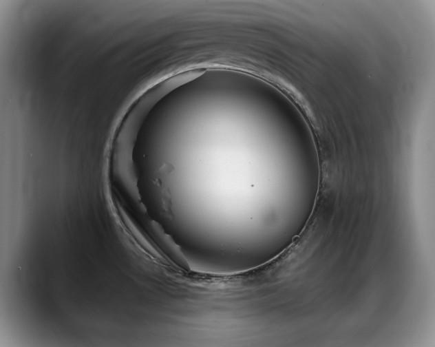 X0000088851530200706081125