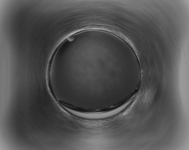 X0000088851533200706081125
