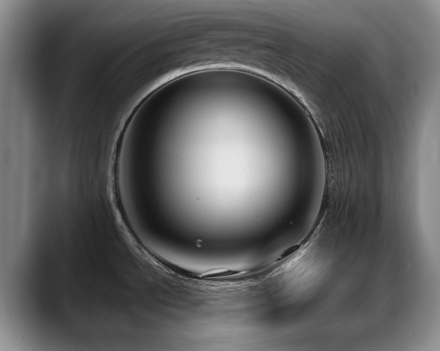 X0000088851534200706081125