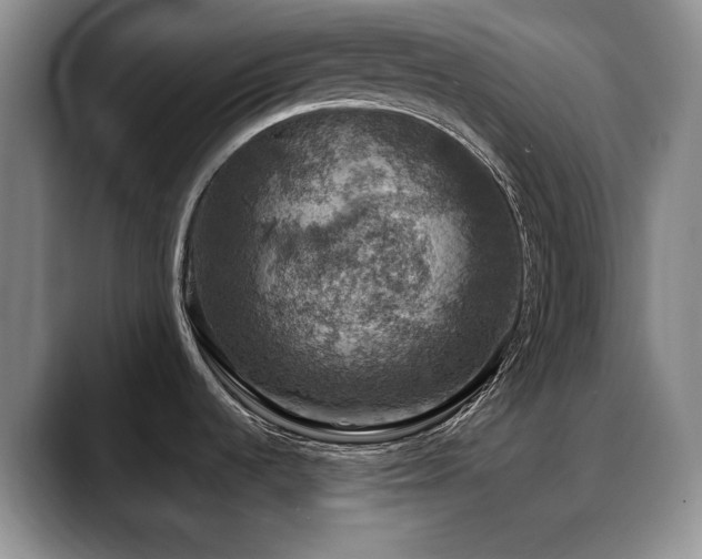 X0000088851536200706081125