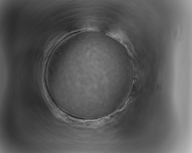 X0000088850001200706151726