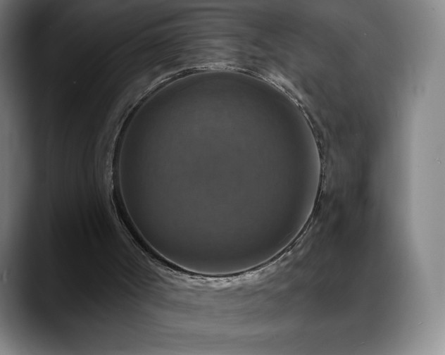 X0000088850002200706151726