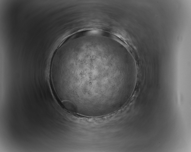 X0000088850003200706151726