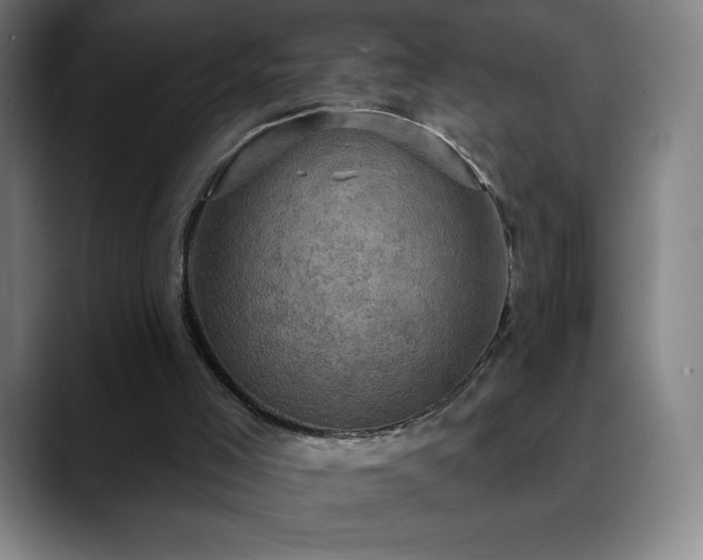 X0000088850005200706151725