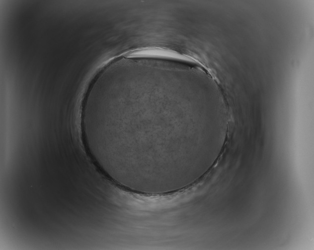 X0000088850006200706151725