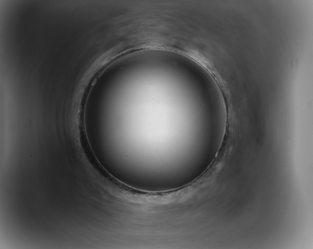 X0000088850007200706151725