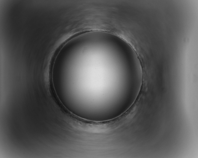 X0000088850008200706151725