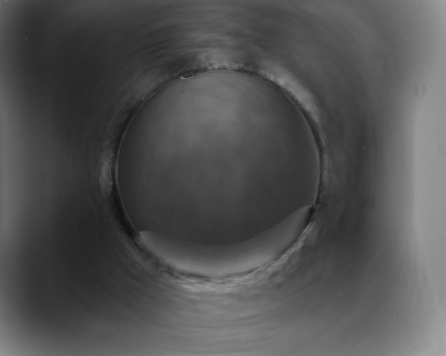 X0000088850009200706151725