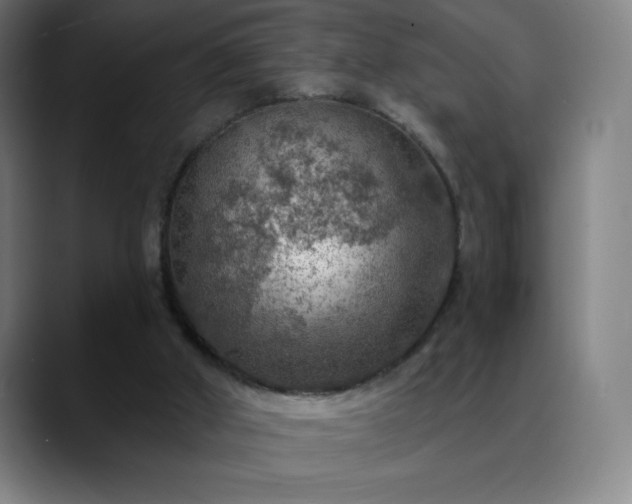 X0000088850010200706151725