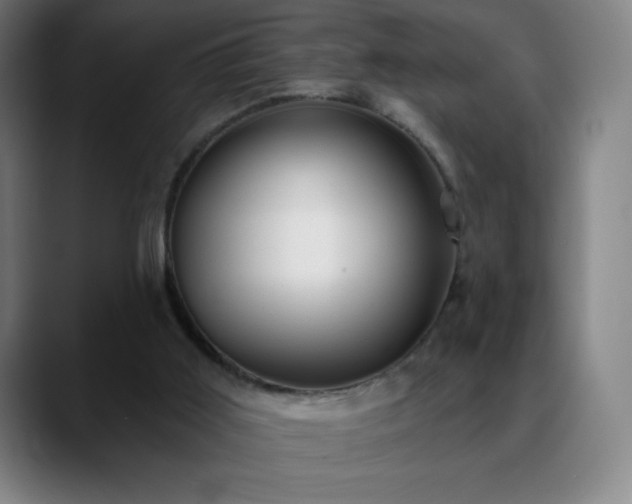 X0000088850011200706151725