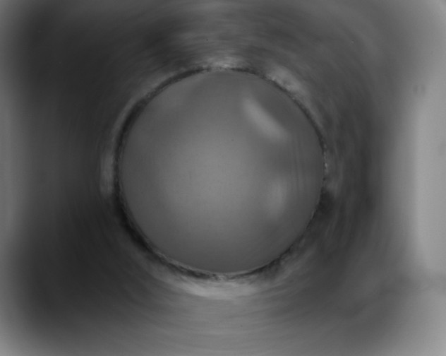 X0000088850012200706151725