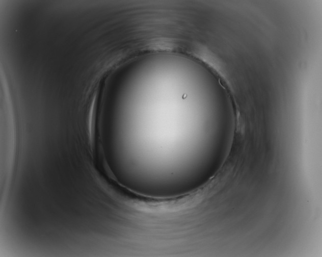 X0000088850013200706151725