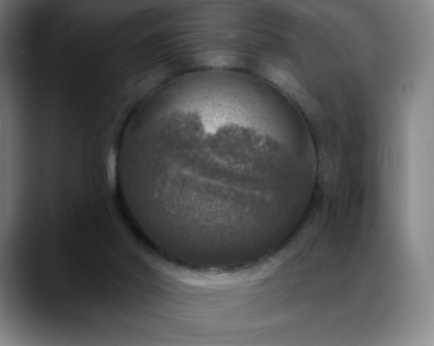 X0000088850014200706151725