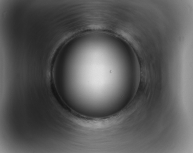 X0000088850015200706151725