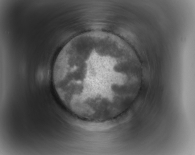 X0000088850016200706151725