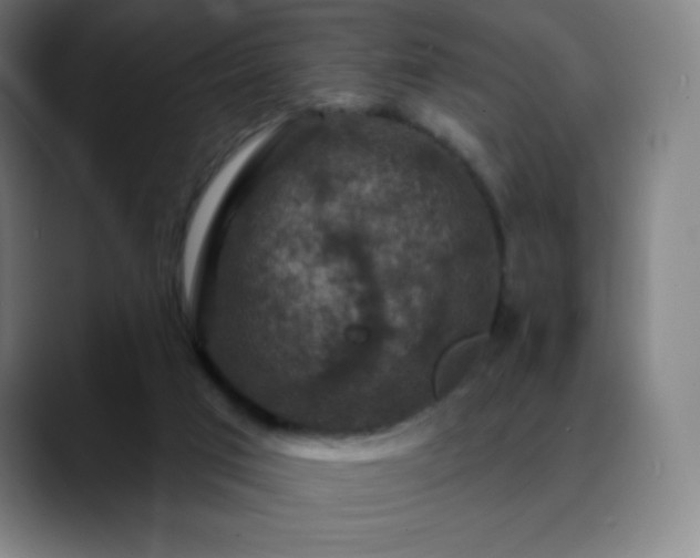 X0000088850017200706151725