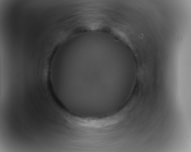 X0000088850018200706151725