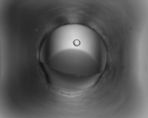 X0000088850019200706151725