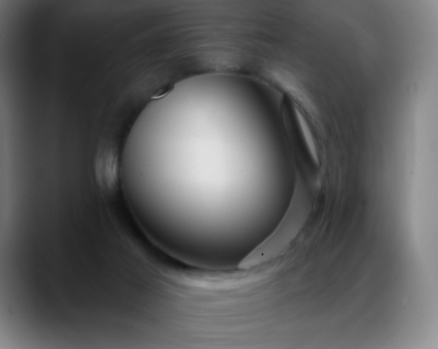 X0000088850021200706151725