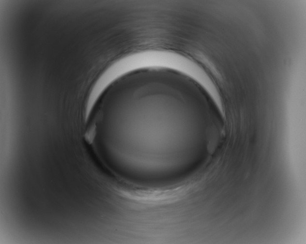 X0000088850023200706151725