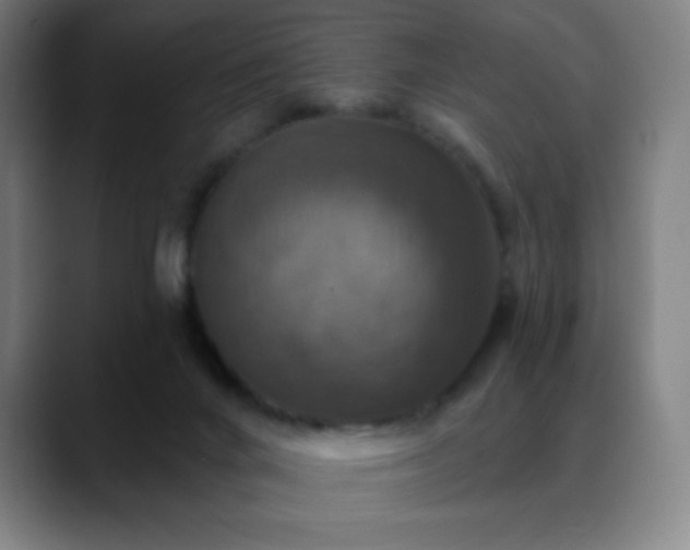 X0000088850024200706151725