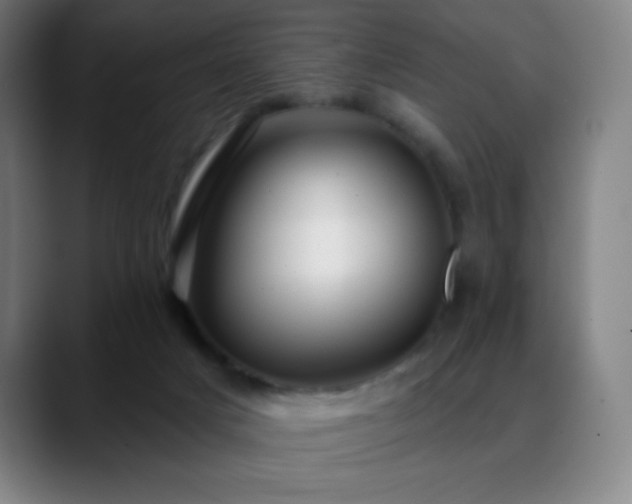 X0000088850025200706151725