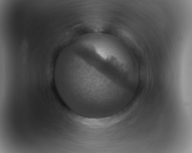 X0000088850030200706151725