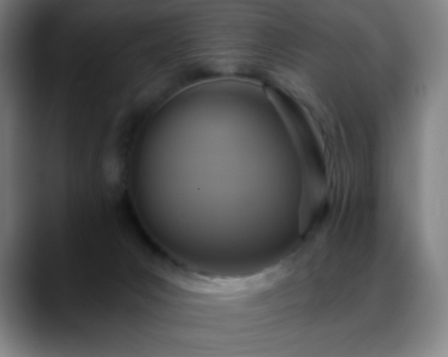 X0000088850031200706151725