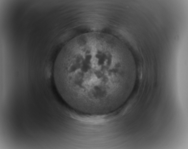 X0000088850032200706151725