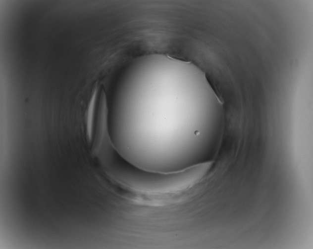 X0000088850033200706151725