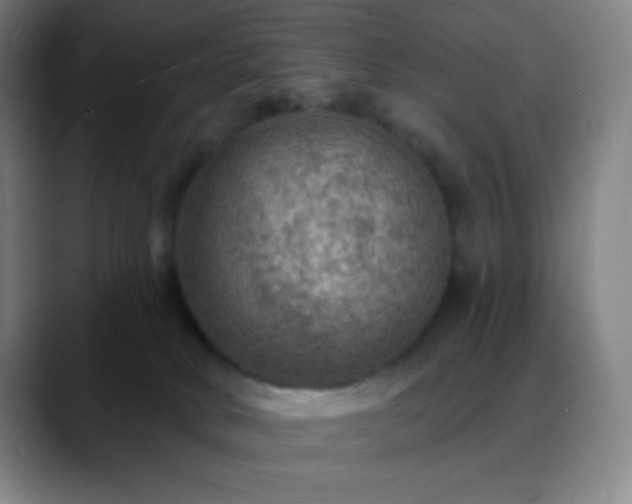 X0000088850034200706151725