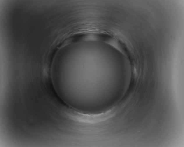 X0000088850035200706151725