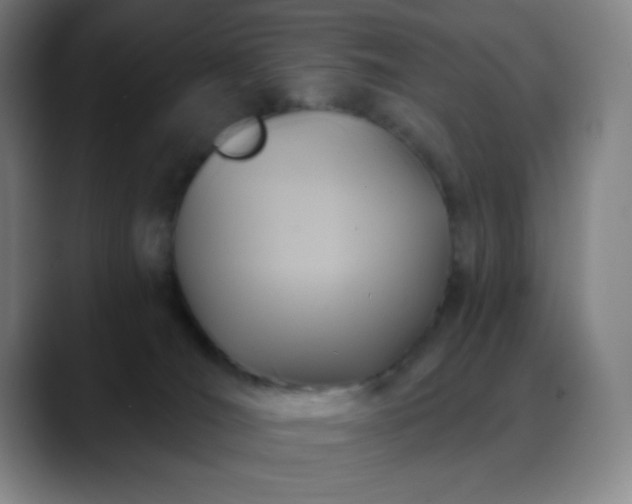 X0000088850036200706151725