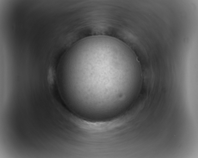 X0000088850038200706151725