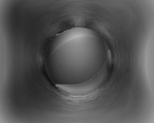 X0000088850039200706151725