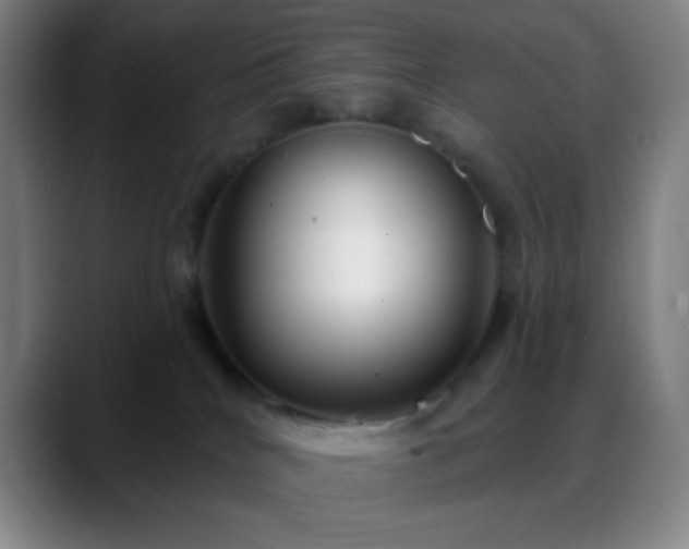 X0000088850040200706151725