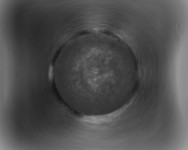 X0000088850041200706151725