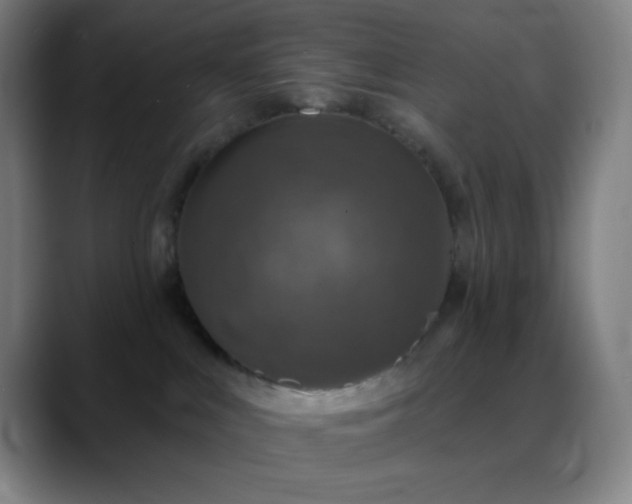 X0000088850043200706151725