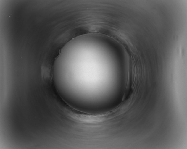 X0000088850044200706151725